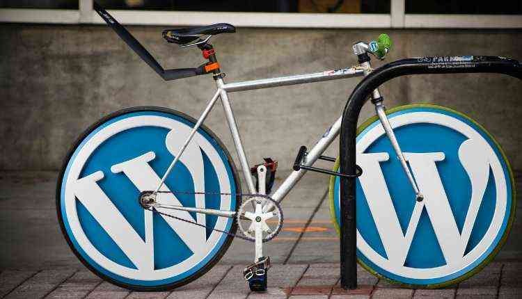 Top WordPress Customization Tips and Tricks | Digitalidiots.in